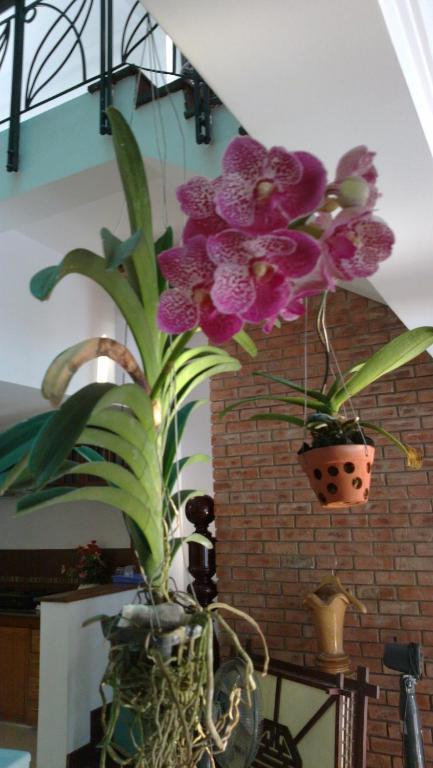 Flower Garden Homestay 호이안 외부 사진